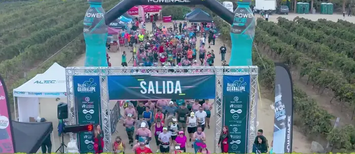 Salida del medio maratón entre los viñedos del Valle de Guadalupe, vista aérea